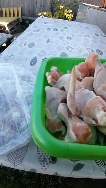 На даче,будем жарить мясо!