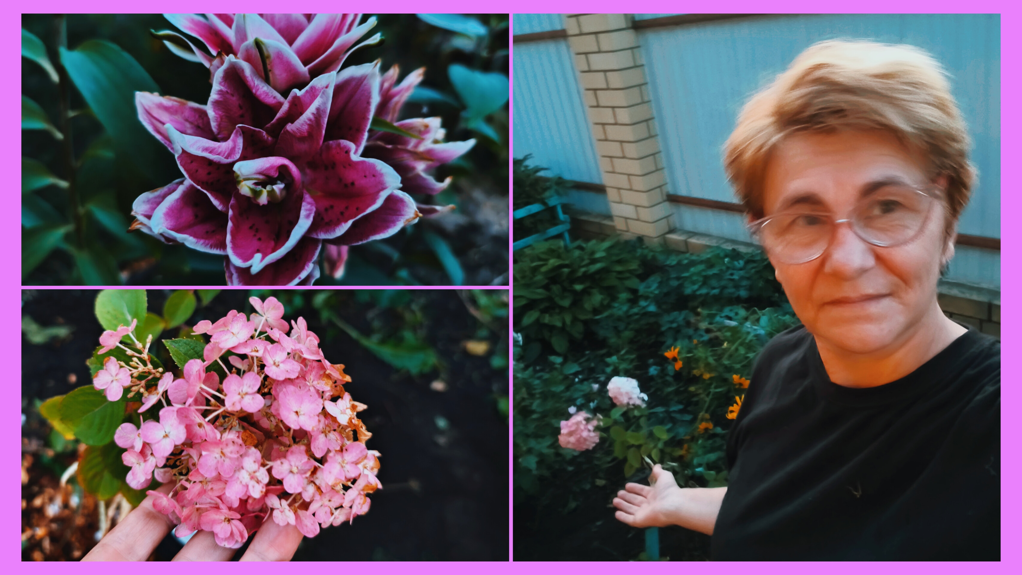 Посадка Гортензии🌸