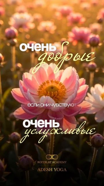 Главная сильная сторона людей-Четвёрок