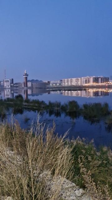Вечерний вид на озеро Сайсары. #якутск Штиль 24 августа 2026 года #yakutsk #saysary #lake #view