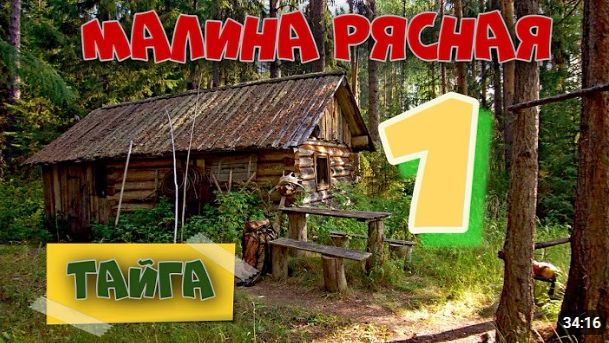 МАКАРЫЧ В ТАЙГЕ  ТАЁЖНАЯ МАЛИНА  МЕДВЕДЬ В КУСТАХ  ЖИЗНЬ В ЛЕСУ 1