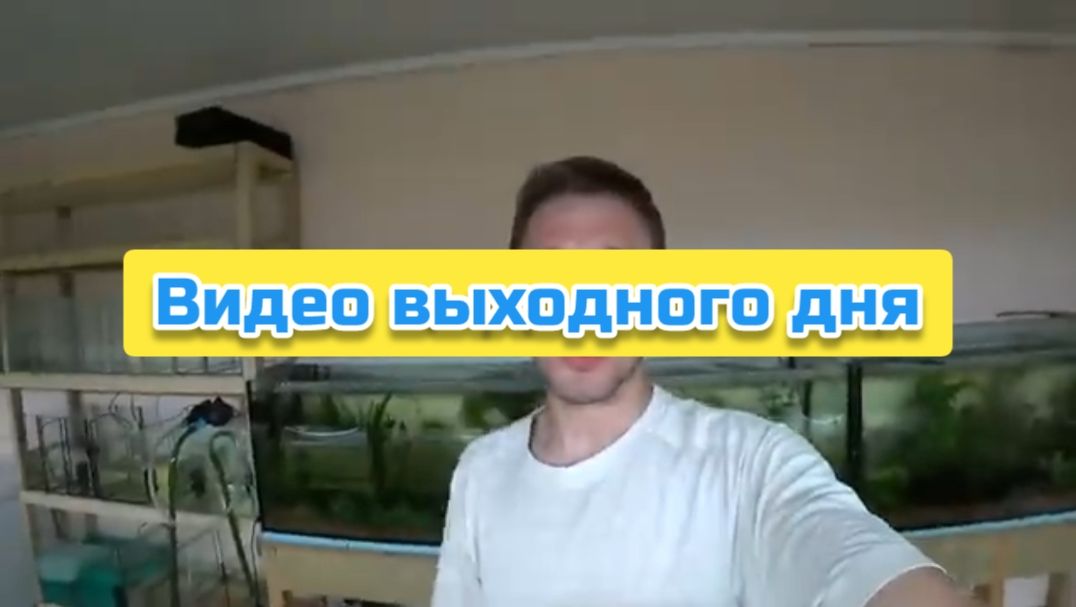 Видео выходного дня