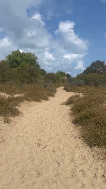De Panne Belgium пляж Же Панне Бельгия 2026 август