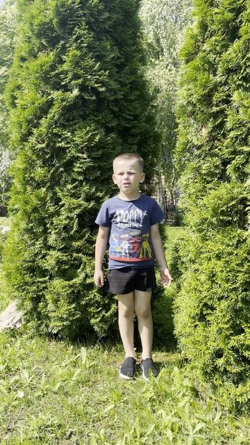 Андронов Савелий, 7 лет. Н. М. Рубцов «Мальчик Вова»