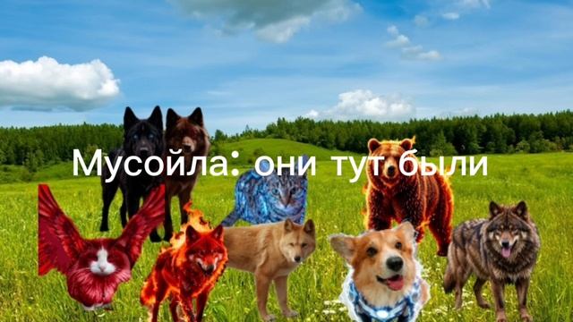фильм 