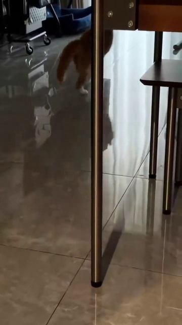 Внезапный приступ бешенства.