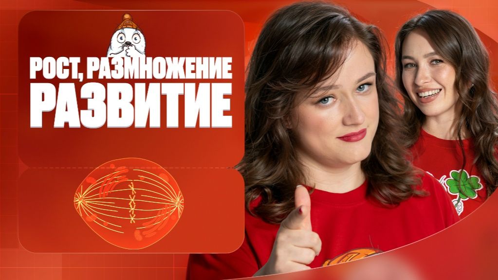 Рост, размножение и развитие | Полугодовик | ЕГЭ-2026 с Биологическим Тюленем | Stepenin.ru