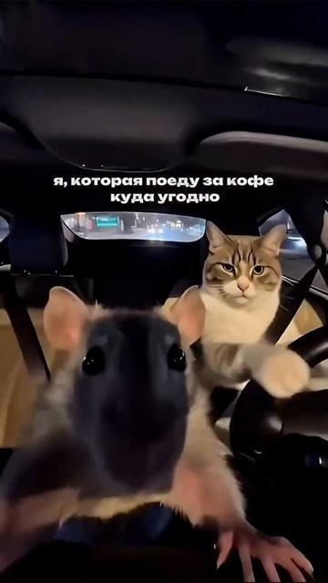 ))