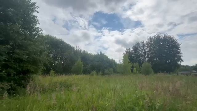 д. Трофимово, ул. Дачная