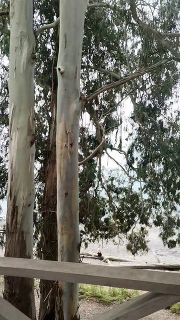 VID_20260824_113941