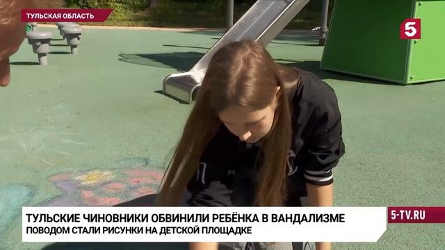 Чиновники победили школьницу: девочку из Болохово заставили отмывать рисунок «Смешариков»