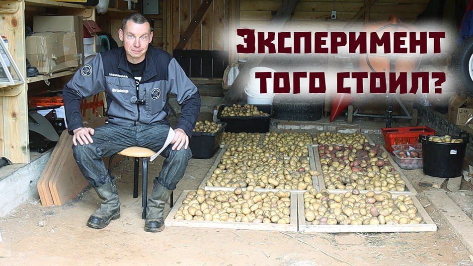 Посадил СЕМЬ СОРТОВ картошки и что получил в итоге?
