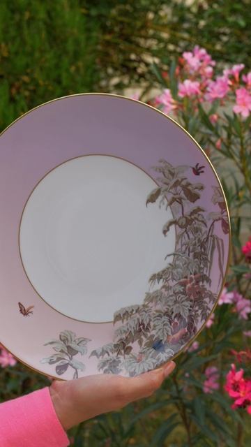 Haviland Le Brésil в наличии в наших бутиках