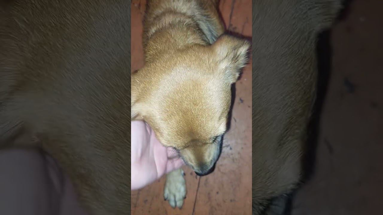 Небольшое ЧП приключилось ♀️