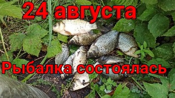 Вечерняя рыбалка на карася