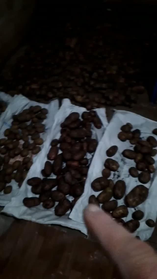 Наш сад и огород