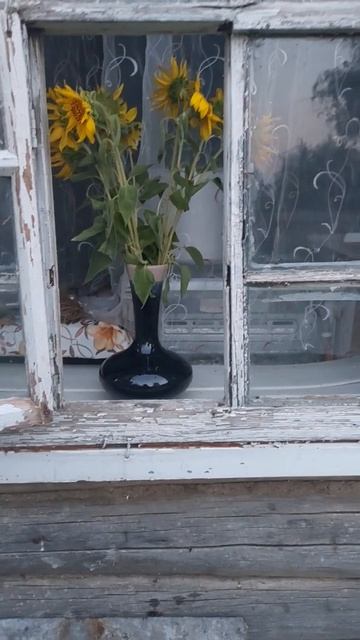 Деревенский дом