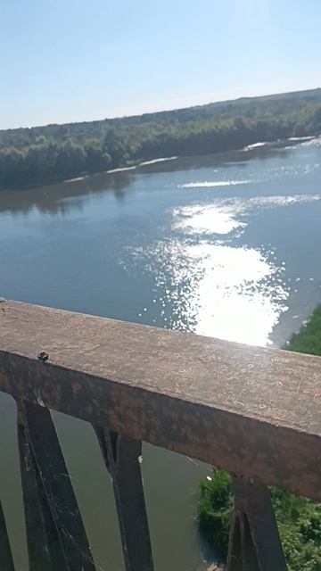 Река Дон😇