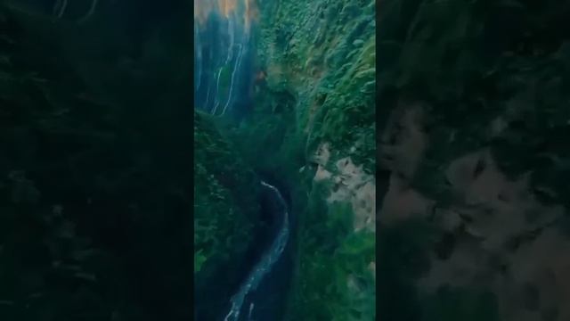 1000032567.mp4