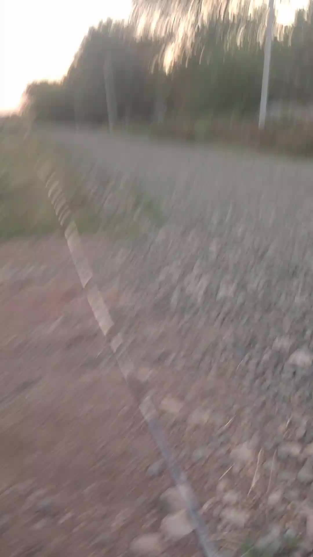 п