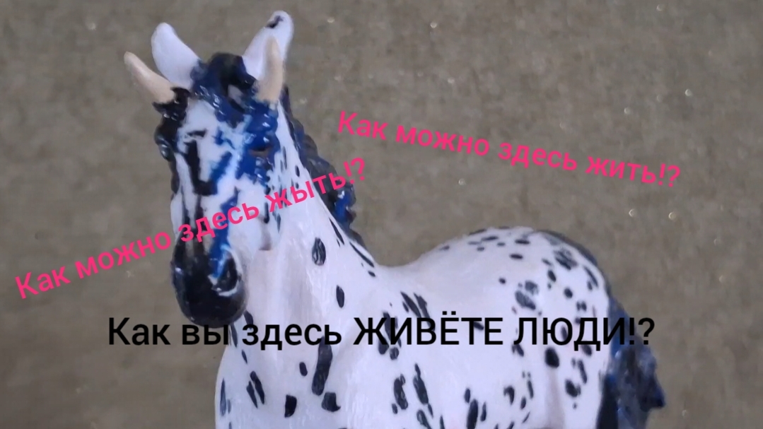 Как можно здесь жить!?