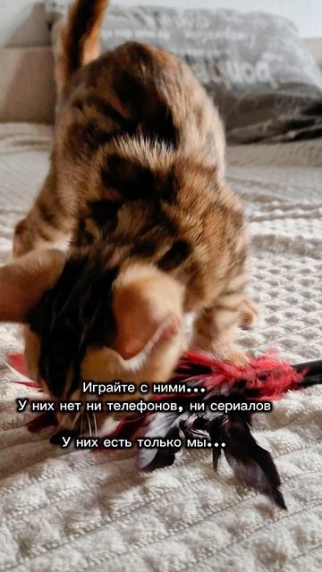 Они для нас весь мир