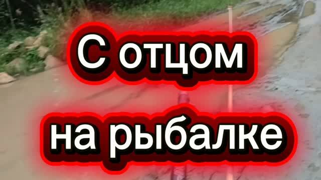 С ОТЦОМ НА РЫБАЛКЕ ПОДЛЕЩИКИ В ДОЖДЬ