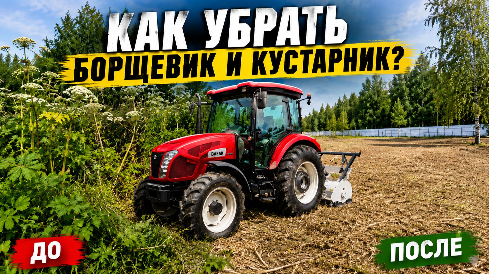 Как убрать с участка борщевик и кустарник? Реальный отзыв клиента