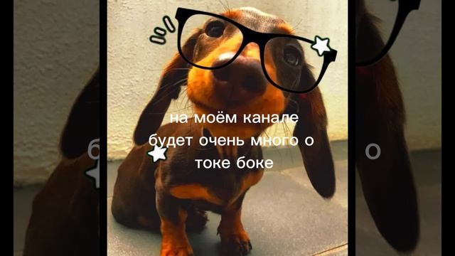 ПОДПИШИСЬ
я не заставляю☺️🥐
ОПИСАНИЕ!!!