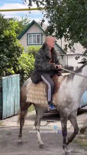 Парадная Конница к дню Незалежности