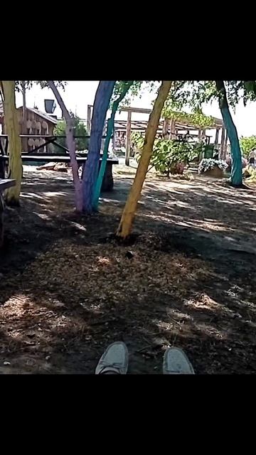 Лучший отдых на гамаке👍 бахча Панамаревых