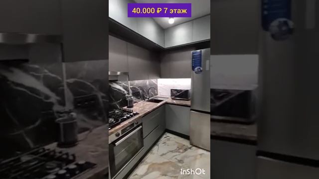 80306.mp4