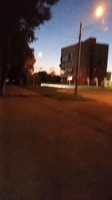 8195.mp4