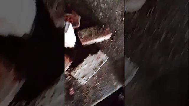 Дом цыгана (6часть)