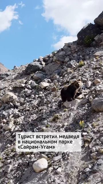 Встреча, которая запомнится туристу на всю жизнь