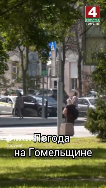 Погода на Гомельщине #беларусь #гомель #новости