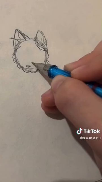 как нарисовать котика