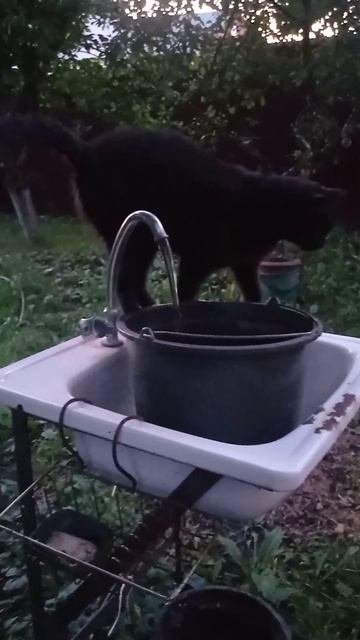 Жара