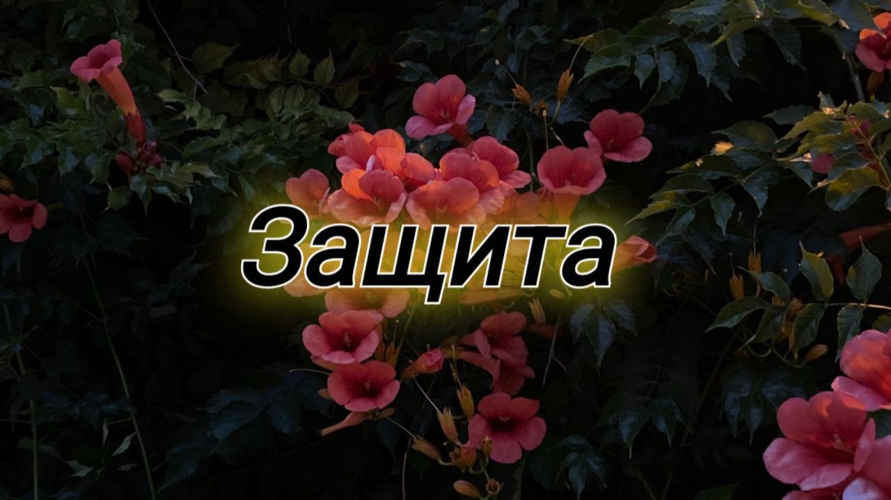 МОЛИТВА о Божьем водительстве, защите и пути к цели