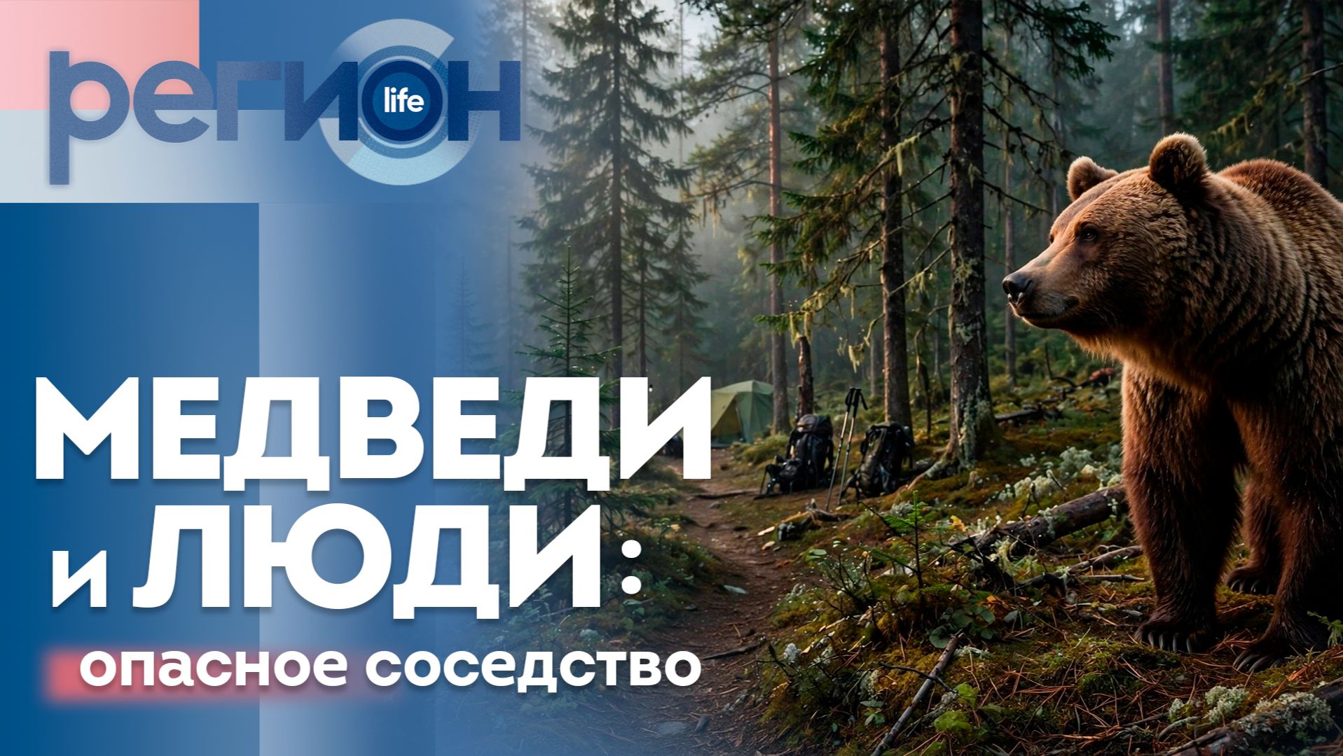 Медведи и люди: опасное соседство | ОТС LIVE — прямая трансляция