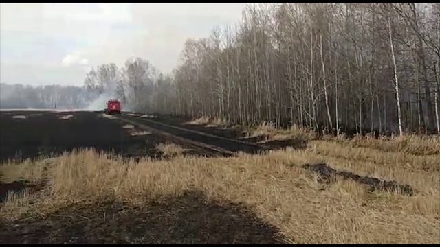 Лесные пожары