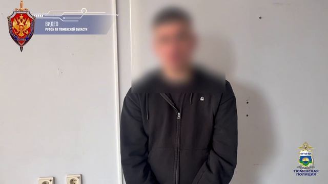 В Тюмени полицейские уличили гендиректора и брокера фирмы в многомиллионных аферах с банкротством