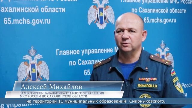24.08.2026 Дерево упало на две машины в Южно-Сахалинске