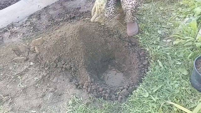 Пришли с ярмарки.