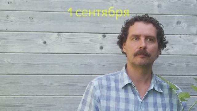 каждый родитель  перед 1 сентября