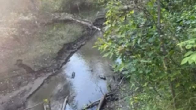 В Курганской области река Боровлянка обмелела