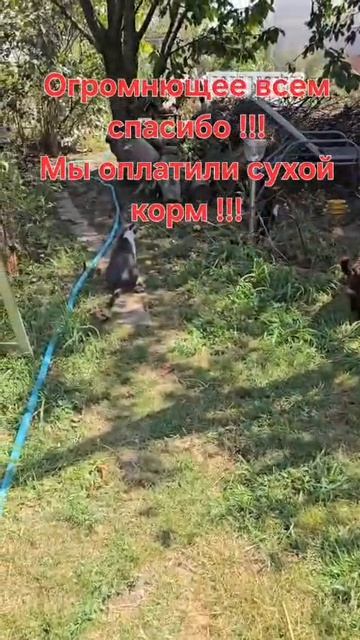 Огромное всем спасибо!!!