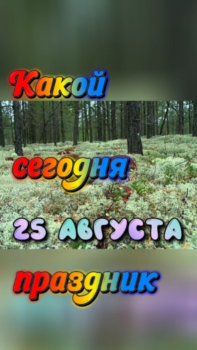 Какой сегодня праздник 🎂