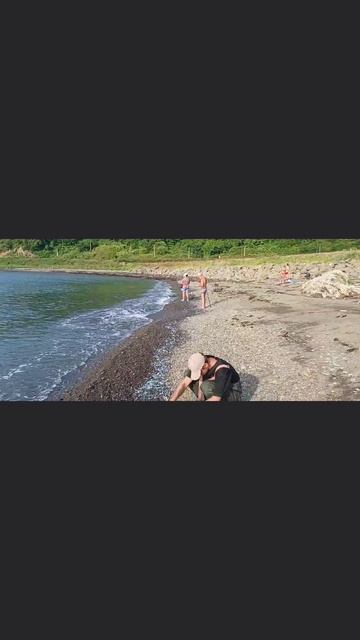📍 На Камчатке Анчоус выбрасывается на берег. 😯