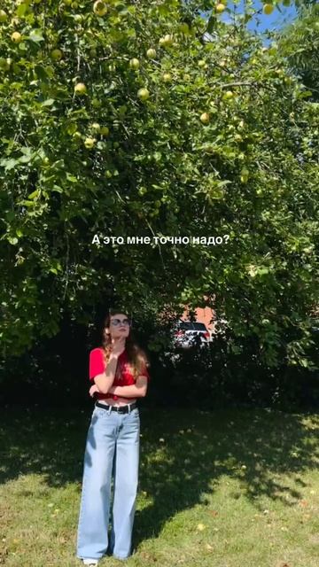 и речь про яблоко))